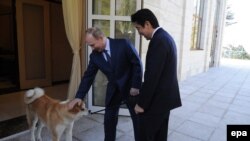 Vladimir Putin (solda) və Shinzo Abe Soçidə, 2014-cü il