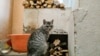 Печь и кошка (архивное фото)