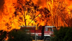 Лесные пожары в Австралии, октябрь 2013 года