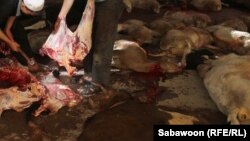 ارشیف: روغتیاپالان وايي، د کانګو ناروغۍ د لېږد یوه ذریعه له څارویو سره ډېر تماس کېدای شي او د څارویو د حلالې پر مهال باید روغتیايي لارښوونې په پام کې ونیول شي.