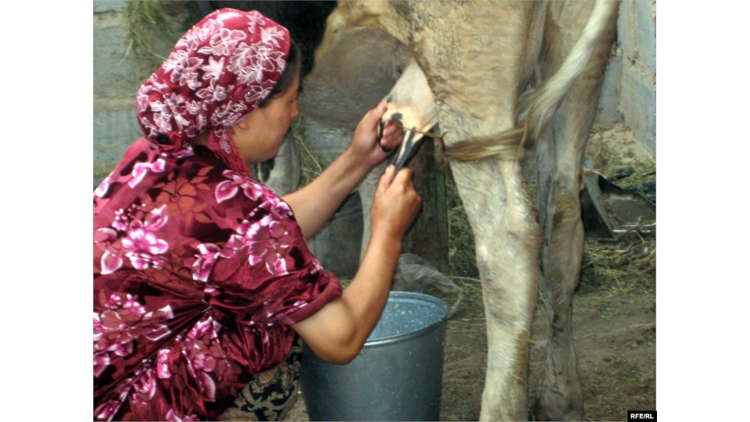 Жастықпен мастурбация жасау әдістері