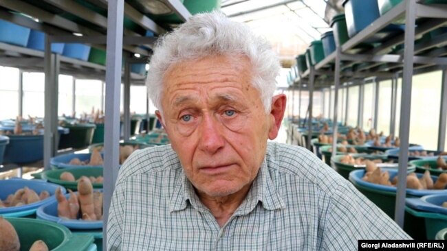 შოთა ერიაშვილი