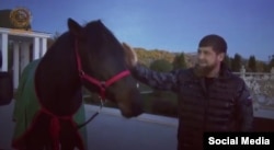 Кадыров с одним из своих коней