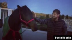 Кадыров с лошадью