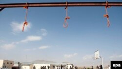Կախաղաններ Փուլ-է-Չարխի բանտում, Աֆղանստան 