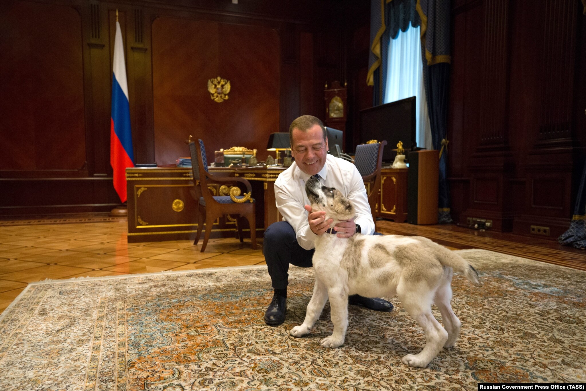 Medvedev plays with a Turkmen shepherd dog, known as an Alabai, that he received as a gift from Turkmen President Gurbanguly Berdymukhammedov on July 17, 2019.