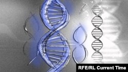 Фенилкетонурия - генетическое заболевание, вызывающее интоксикацию мозга у детей
