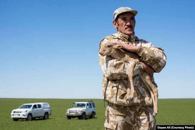 Смерть защитника сайги. В Карагандинской области простились с Ерланом Нургалиевым
