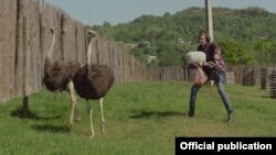 «Мої думки тихі», кадр із фільму