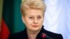 Президент Литви: ми підтримуємо українську боротьбу проти агресії