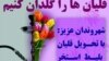 شیرجه در استخر در ازای تحویل قلیان به شهرداری