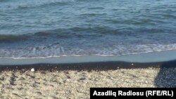 Foto arxiv