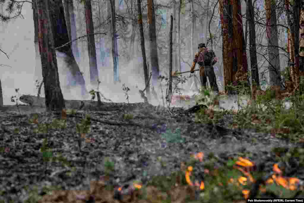 A forest ranger digs a trench meant to stop the fire from spreading.