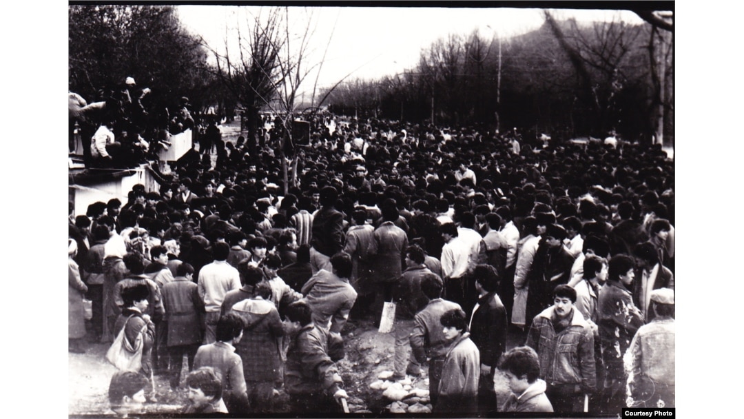 Katta semiz qora eshaklar