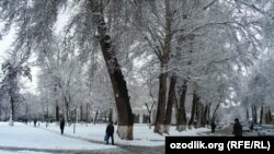 Иллюстративное фото.