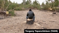 Рубка леса в Читинской области (архивное фото)