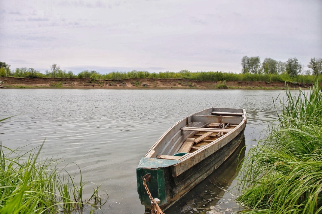 Әуесқойлық бисексуалдық оргиялар nd