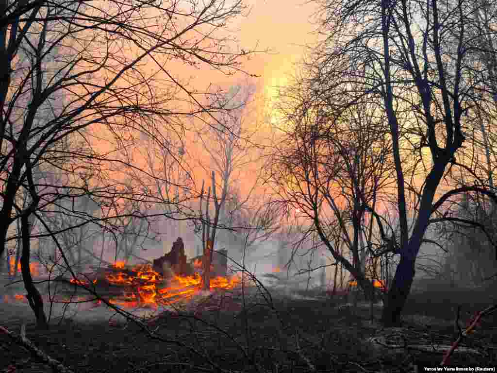 A fire burns in the exclusion zone around the Chernobyl nuclear power plant outside the village of Rahivka on April 5.
