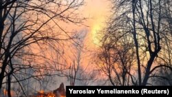 Vatra u zaštićenoj zoni oko Černobilja, kod sela Rahivka, 5. april 2020.