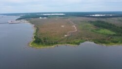 'This Is Our Forest': Russians Seek Answers After Woodlands Destroyed