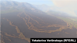 Лесные пожары на Байкале послужили поводом для письма Путину