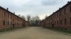 Один із нацистських концтаборів «Аушвіц-Біркенау». Освенцім, Польща. Листопад 2014 року