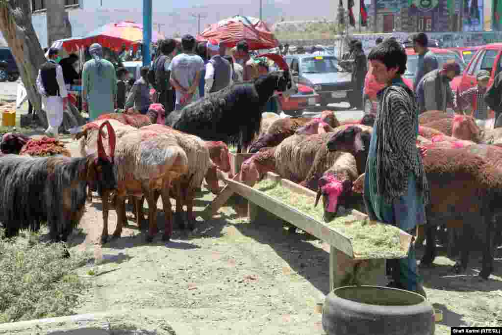 Another scene in Kabul&rsquo;s Chaman-e-Hozori