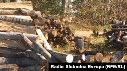 Дрва за огрев (фотоархива).
