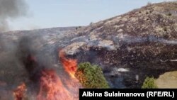 Пожар на пастбище Алмалуу в Таласской области, 7 августа 2018 г.