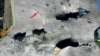 گزارش دولت هلند از علت سقوط هواپیمای مالزیایی در شرق اوکراین