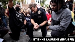 Лос-Анжелестеги полиция элден тизелеп кечирим сурап жатат. 2-июнь, 2020-жыл.