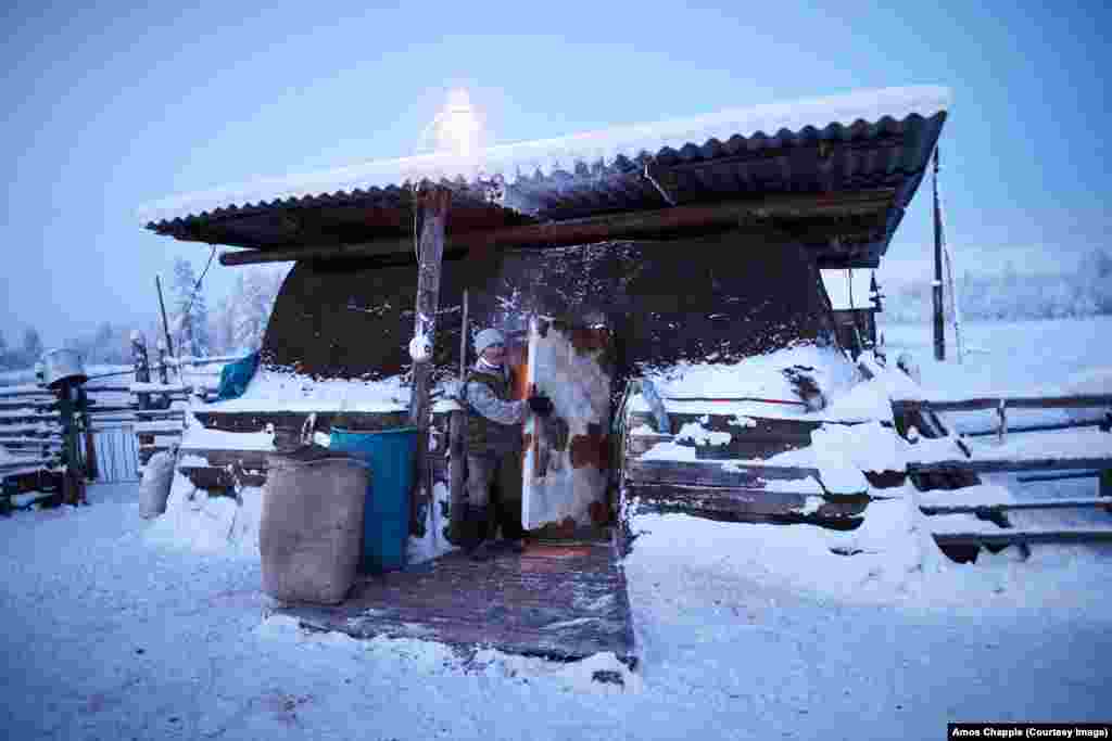 Cows in the village are housed through the winter in thickly insulated sheds like this.