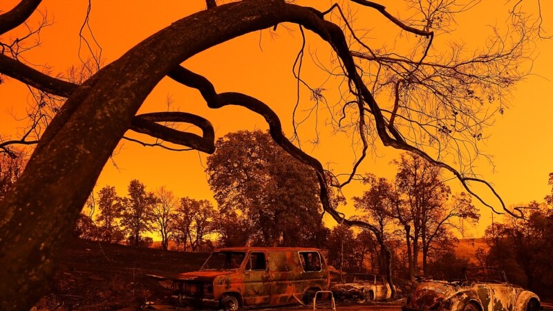 Евакуации поради голем шумски пожар во северна Калифорнија 