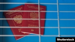 До Путіна звернулися з проханням спростити оформлення громадянства «для громадян «ЛНР» і «ДНР»
