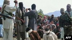 Militantë talibanë, foto nga arkivi