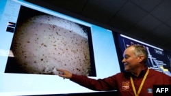 NASA mühəndisi, InSight-ın layihə meneceri Tom Hoffmamnon