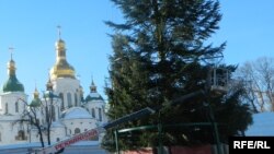 Встановлення головної ялинки у Києві, 7 грудня 2016 року