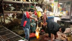 Pijaca u Kini, 15 april 2020.