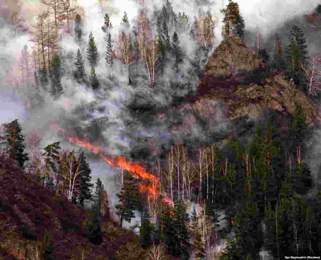 A 2002 file photo of a Siberian wildfire. According to a recent scientific study, the forests of Siberia are being changed fundamentally by regular fires. 
