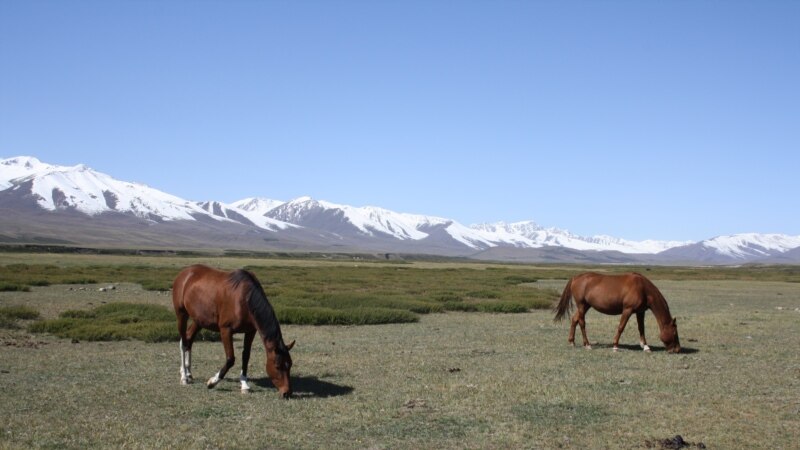 Жашыл климат фонду Кыргызстанга 50 млн. доллар берет