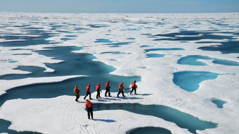 Arktik pozelenio, led propušta svjetlo