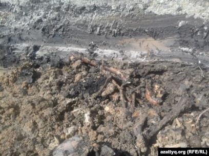 Зденка подкапова трахается