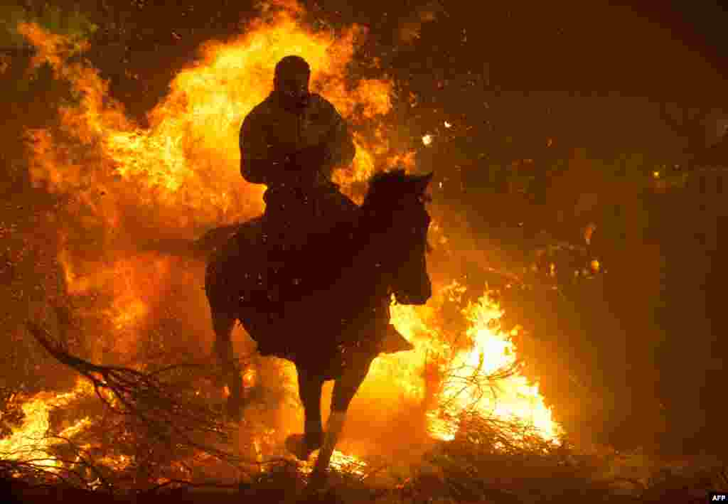 A horseman jumps over a bonfire in the central Spanish village of San Bartolome de Pinares to open the celebrations for the feast of St. Anthony, patron saint of animals. (AFP/Pierre-Philippe Marcou)