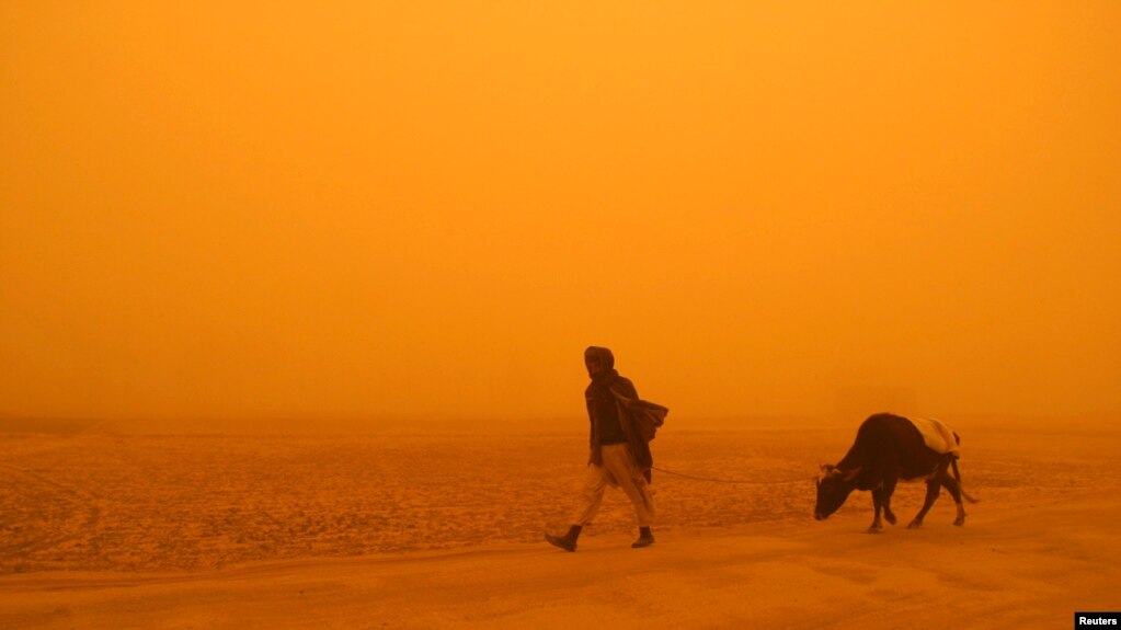 عکس له ارشیفه