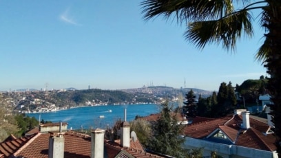 Жаңа ғана өсіп келе жатқан кеуде суреттері