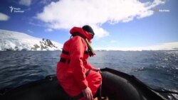 Антарктика залишилася останнім континентом без коронавірусу – відео