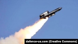 Крылатая ракета FP-5 «Фламинго» украинской компании Fire Point 