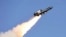 Крылатая ракета FP-5 «Фламинго» украинской компании Fire Point 