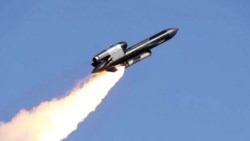 Крылатая ракета FP-5 "Фламинго", производящаяся украинской компанией Fire Point