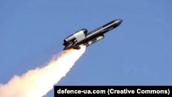 Крылатая ракета FP-5 "Фламинго", производящаяся украинской компанией Fire Point